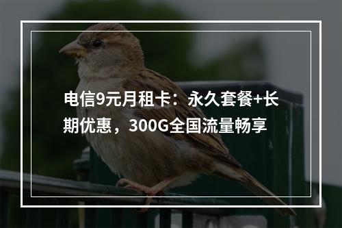 电信9元月租卡：永久套餐+长期优惠，300G全国流量畅享