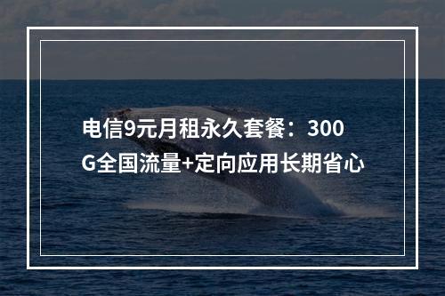 电信9元月租永久套餐：300G全国流量+定向应用长期省心