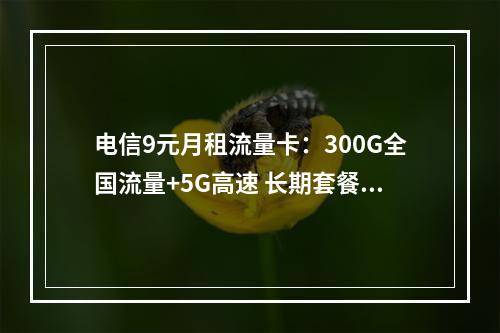 电信9元月租流量卡：300G全国流量+5G高速 长期套餐优惠