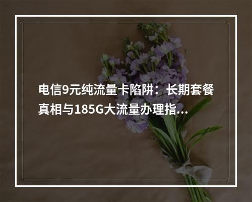 电信9元纯流量卡陷阱：长期套餐真相与185G大流量办理指南