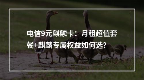 电信9元麒麟卡：月租超值套餐+麒麟专属权益如何选？