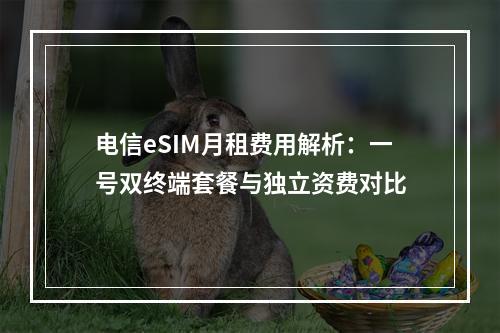 电信eSIM月租费用解析：一号双终端套餐与独立资费对比