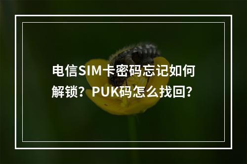 电信SIM卡密码忘记如何解锁？PUK码怎么找回？