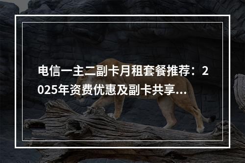 电信一主二副卡月租套餐推荐：2025年资费优惠及副卡共享规则