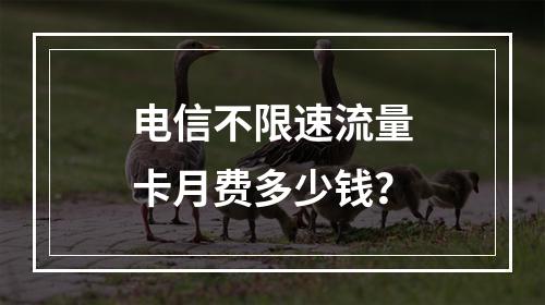 电信不限速流量卡月费多少钱？