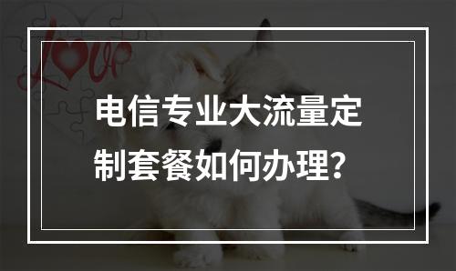 电信专业大流量定制套餐如何办理？