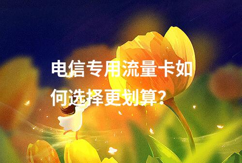 电信专用流量卡如何选择更划算？