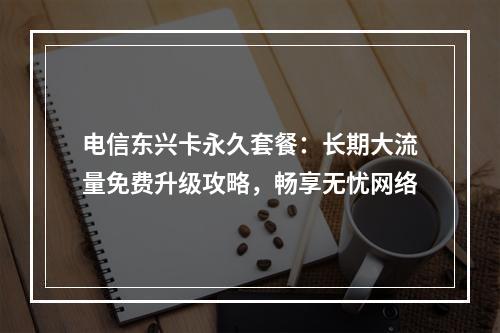 电信东兴卡永久套餐：长期大流量免费升级攻略，畅享无忧网络