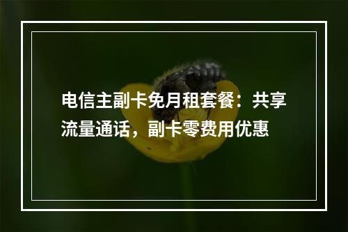 电信主副卡免月租套餐：共享流量通话，副卡零费用优惠