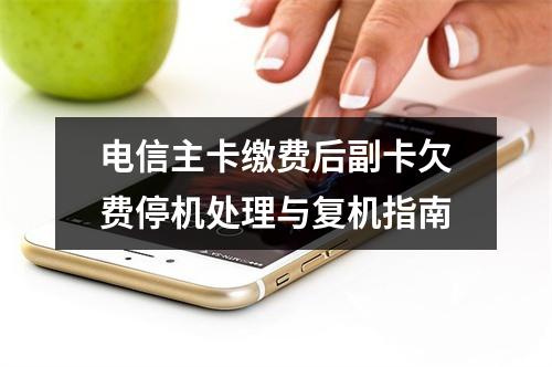 电信主卡缴费后副卡欠费停机处理与复机指南