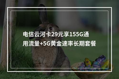 电信云河卡29元享155G通用流量+5G黄金速率长期套餐