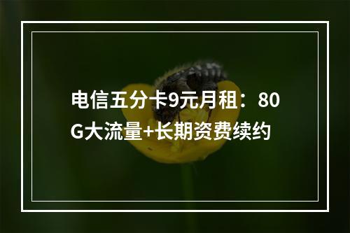 电信五分卡9元月租：80G大流量+长期资费续约
