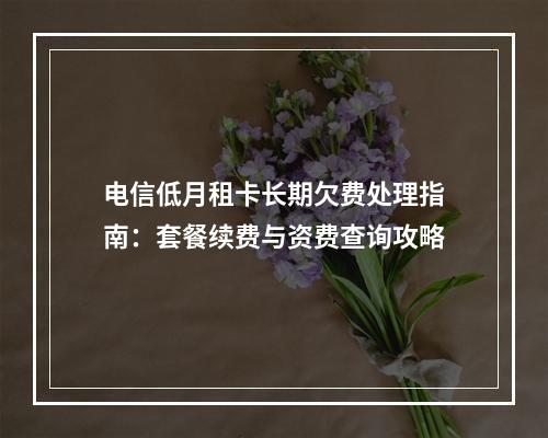电信低月租卡长期欠费处理指南：套餐续费与资费查询攻略