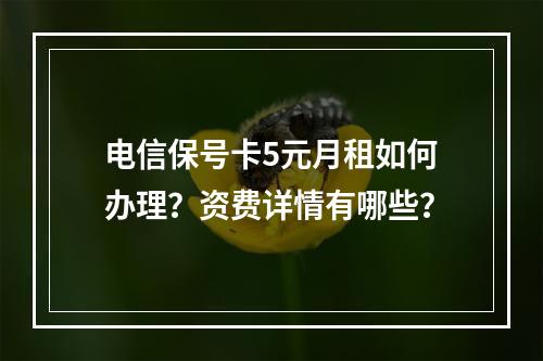 电信保号卡5元月租如何办理？资费详情有哪些？