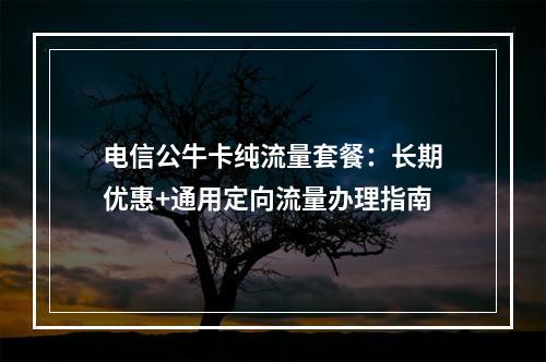 电信公牛卡纯流量套餐：长期优惠+通用定向流量办理指南