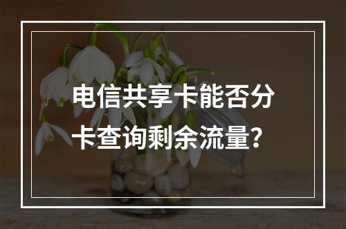 电信共享卡能否分卡查询剩余流量？