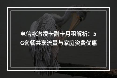 电信冰激凌卡副卡月租解析：5G套餐共享流量与家庭资费优惠
