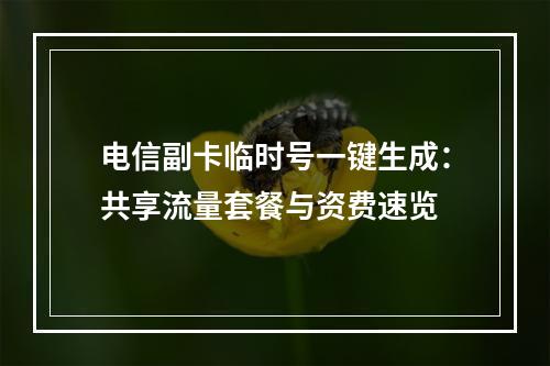 电信副卡临时号一键生成：共享流量套餐与资费速览