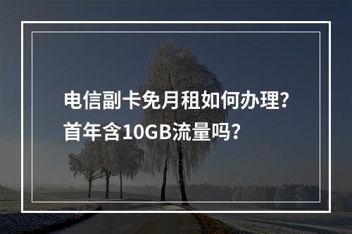电信副卡免月租如何办理？首年含10GB流量吗？