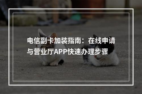 电信副卡加装指南：在线申请与营业厅APP快速办理步骤
