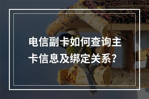 电信副卡如何查询主卡信息及绑定关系？