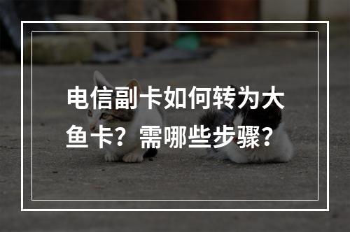 电信副卡如何转为大鱼卡？需哪些步骤？