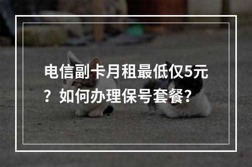 电信副卡月租最低仅5元？如何办理保号套餐？