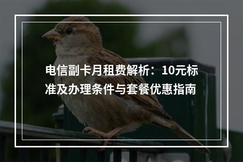 电信副卡月租费解析：10元标准及办理条件与套餐优惠指南