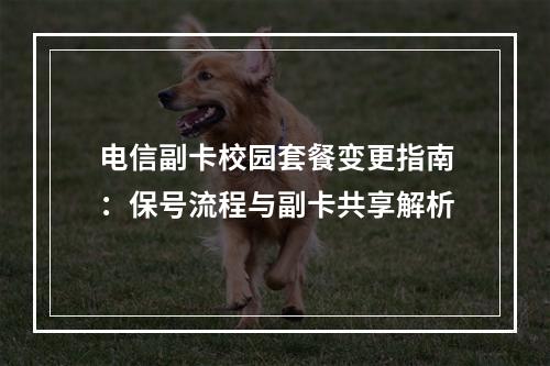 电信副卡校园套餐变更指南：保号流程与副卡共享解析