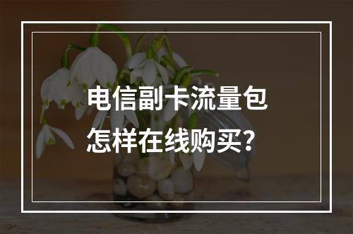 电信副卡流量包怎样在线购买？