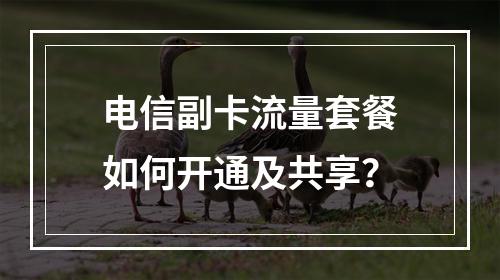 电信副卡流量套餐如何开通及共享？
