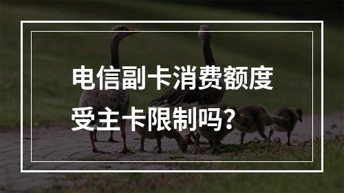 电信副卡消费额度受主卡限制吗？