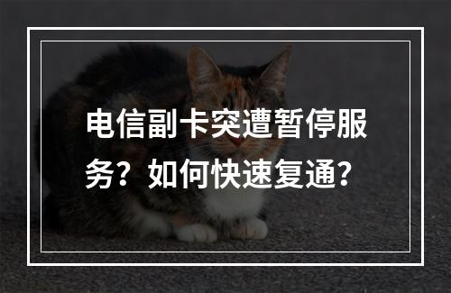 电信副卡突遭暂停服务？如何快速复通？