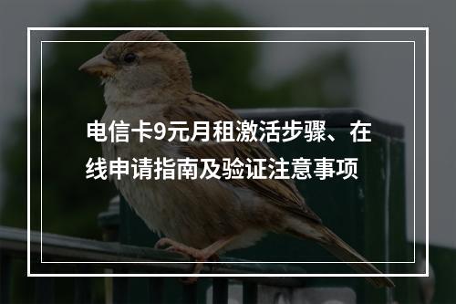 电信卡9元月租激活步骤、在线申请指南及验证注意事项