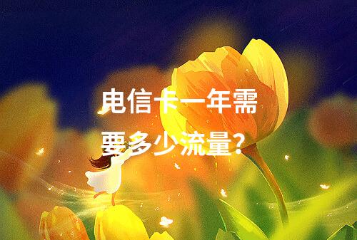 电信卡一年需要多少流量？