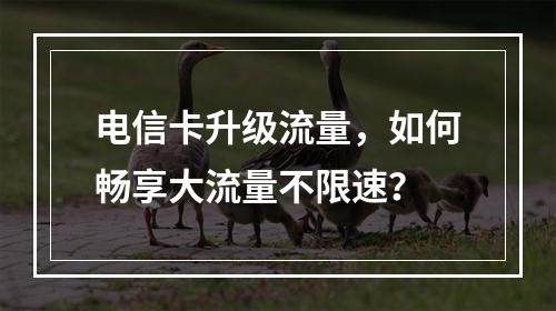 电信卡升级流量，如何畅享大流量不限速？