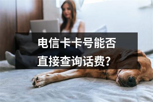 电信卡卡号能否直接查询话费？