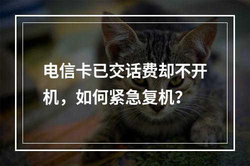 电信卡已交话费却不开机，如何紧急复机？
