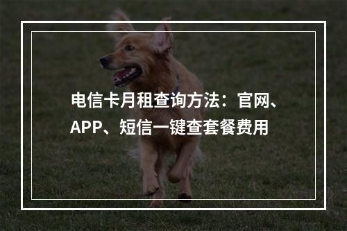 电信卡月租查询方法：官网、APP、短信一键查套餐费用