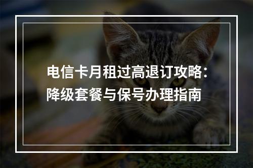 电信卡月租过高退订攻略：降级套餐与保号办理指南