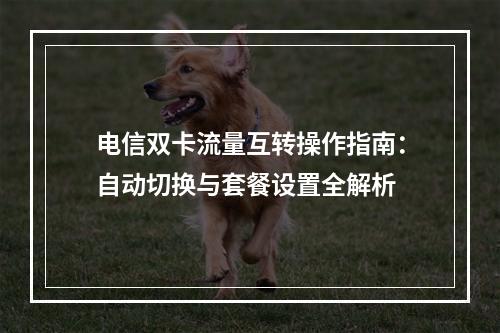 电信双卡流量互转操作指南：自动切换与套餐设置全解析