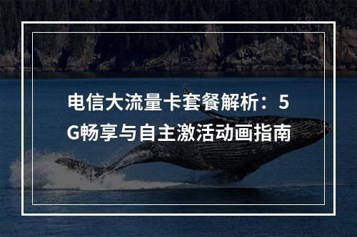 电信大流量卡套餐解析：5G畅享与自主激活动画指南