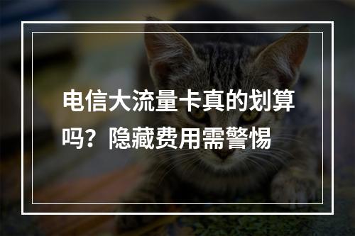 电信大流量卡真的划算吗？隐藏费用需警惕