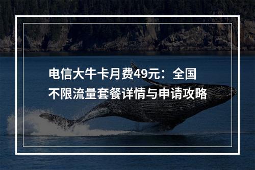电信大牛卡月费49元：全国不限流量套餐详情与申请攻略