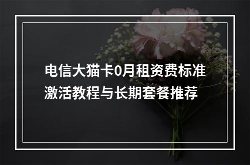 电信大猫卡0月租资费标准激活教程与长期套餐推荐