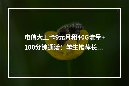电信大王卡9元月租40G流量+100分钟通话：学生推荐长期套餐