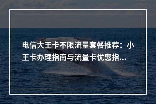 电信大王卡不限流量套餐推荐：小王卡办理指南与流量卡优惠指南