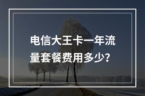 电信大王卡一年流量套餐费用多少？