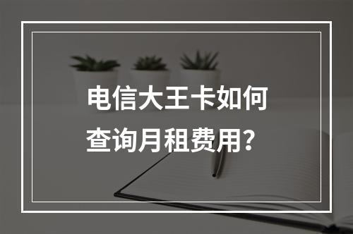 电信大王卡如何查询月租费用？
