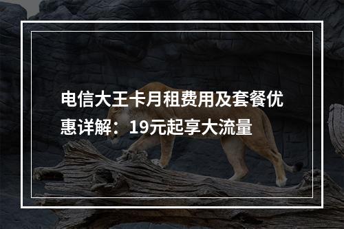 电信大王卡月租费用及套餐优惠详解：19元起享大流量